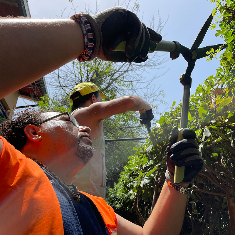 Lavorazioni-Conto-Terzi-Manutenzione-Verde Lavorazioni conto terzi