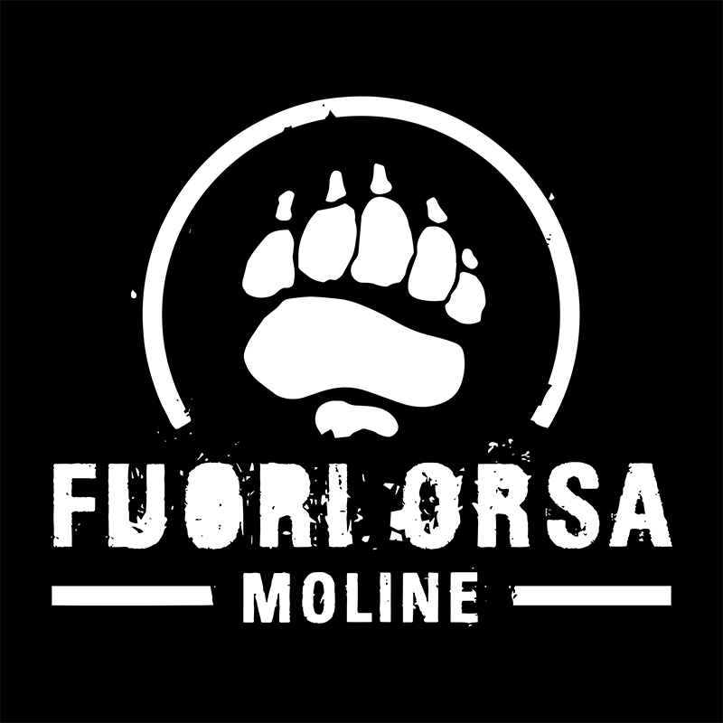 Logo-Fuori-Orsa-Moline Birrificio Vecchia Orsa